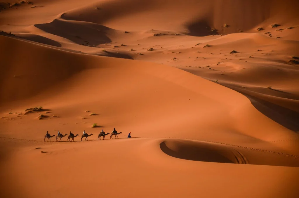 sahara morocco
