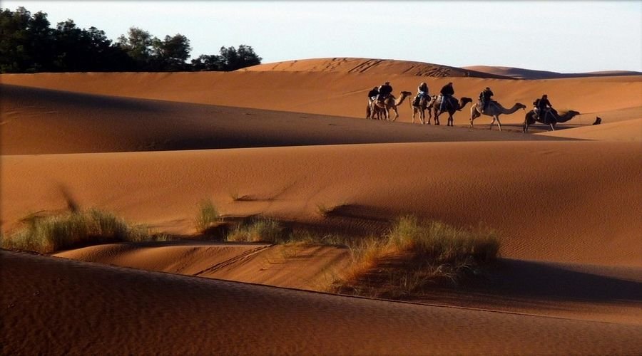 Sahara Desert Morocco
